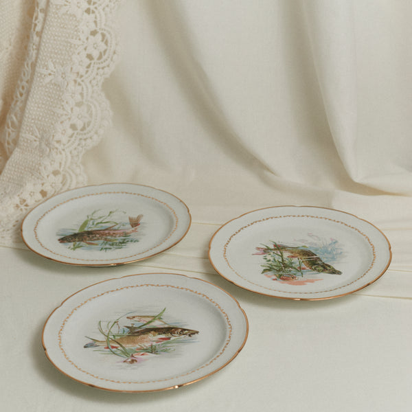 Assiettes à poisson