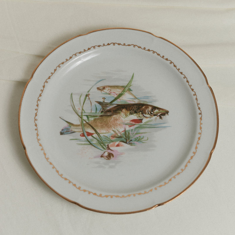 Assiettes à poisson