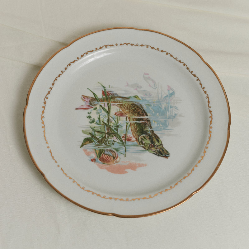 Assiettes à poisson