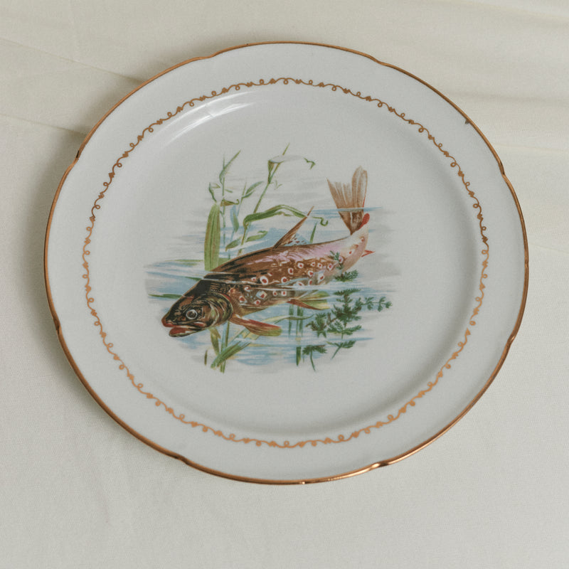 Assiettes à poisson