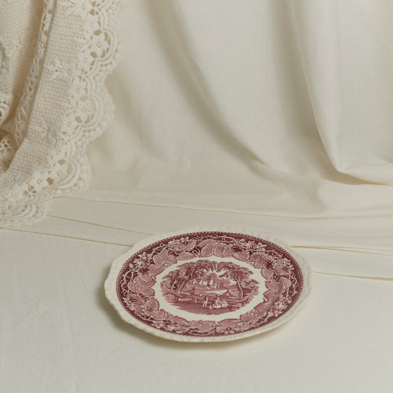 Assiettes en porcelaine